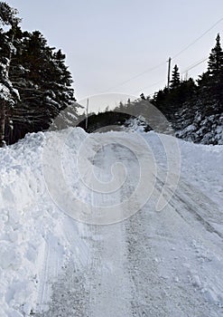 Snow covered road through a forest