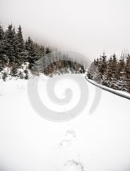 Snow covered road with forest around