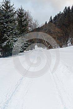 Snow covered road with forest on the background