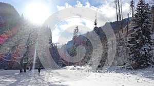 snow-covered road and forest in KoÅ›cieliska Valley, Tatra Mountains