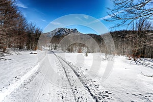 Snow-covered road in forest between mountains, Italy.