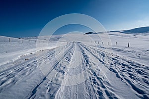 Snow covered road in grassland and woods at Tianshan Mountains in winter