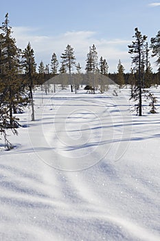 Snow covered road on the Lapland tundra