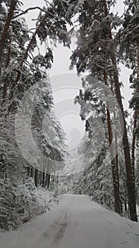 A snow covered road. Long and tiring