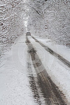 Snow-covered road, the marks of wheels