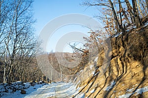 Snow-covered road in the middle of the forest in the mountains