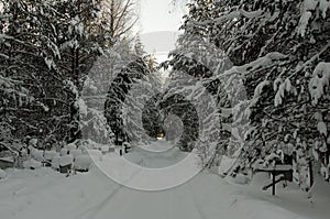 Snow-covered road through the Orthodox cemetery in the forest