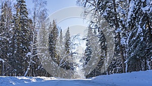 A snow-covered road passes through the forest.