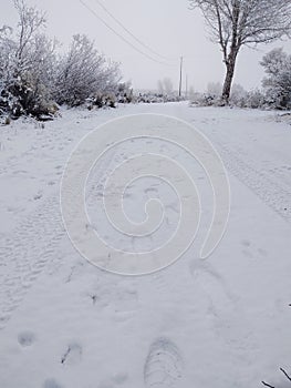 Snow covered road with tracks