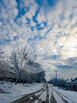 A snow covered road with a tree in the middle of it