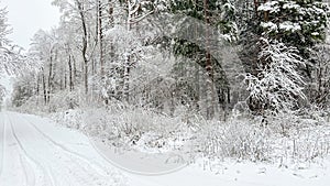 Snow covered road and trees in winter rural landscape.