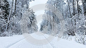 Snow covered road and trees in winter rural landscape.