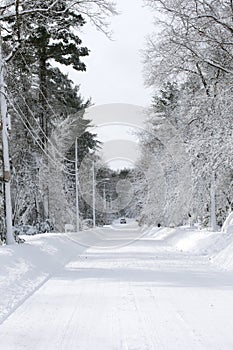 Snow covered Road with Truck