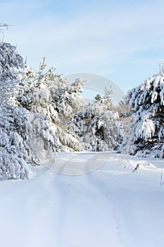 Snow covered road in Wausau, Wisconsin in the month of January