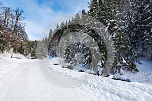 snow covered road winding uphill through forest.