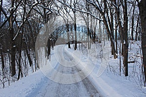 A Snow Covered Road Winds through a Forest