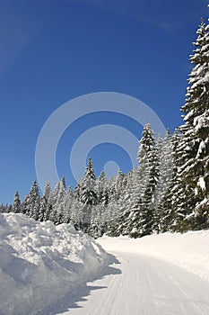 Snow covered road in winter