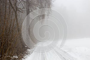 Snow-covered road in winter foggy forest