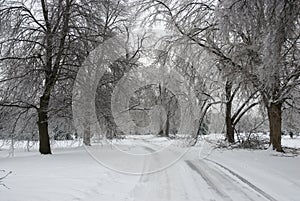 Snow Covered Road in a Winter Forest