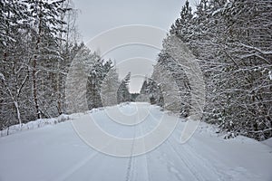snow-covered road among winter forest  winter road