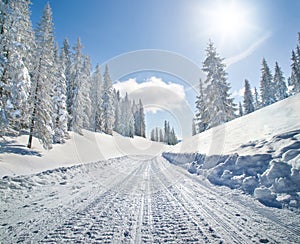 Snow covered road in winter landscape