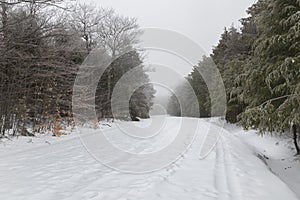 SNow covered road photo