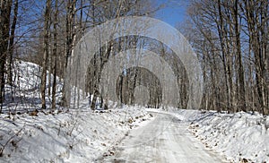 Snow covered road through woods