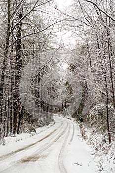 Snow covered road through the woods in winter