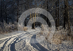 Snow-covered roads in the Russian forest. Frost and snow