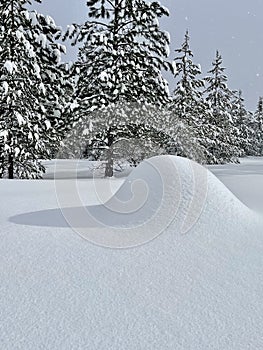 Snow Covered Rock Shadow and Winter Trees