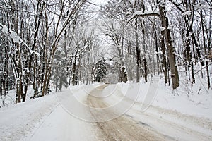 Snow Covered Rural Road