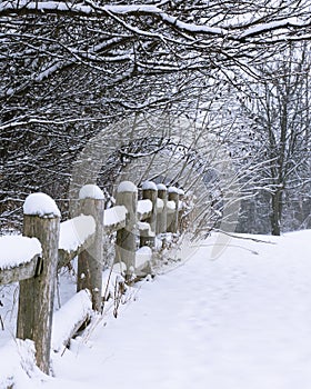 Snow Covered Rustic Fence