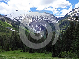 Snow covered Ruth Mountain view from a meadow