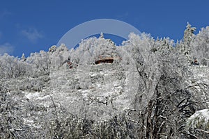 Snow Covered San Bernardino Mountain Forest Lodge