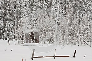 Snow Covered Shack photo