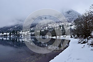 Snow covered shore of lake Bohinj in Slovenia