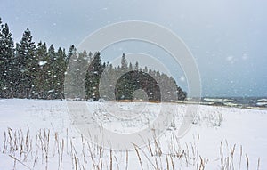 Snow-covered shore under snowfall with the forest on the background