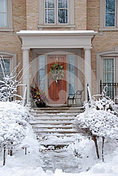 Snow covered shrubbery photo