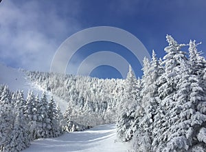 Sugarbush moun photo