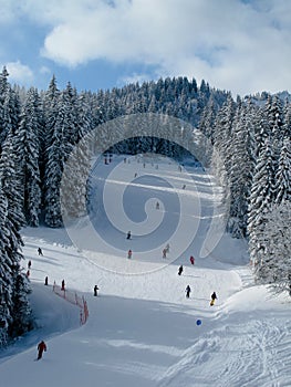 Snow covered ski piste photo