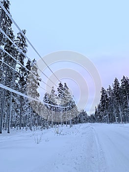 Snow-covered ski road for cross-country skiers skiing, thick layer of snow on wires, trees, Levi ski resort, tourism, winter