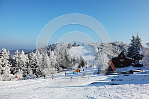 Snow-covered slope, lift cableway and a lot of skiers