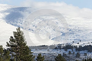 Snow covered slopes of Geal Charn mountain at Glen Feshie in the Highlands of Scotland.