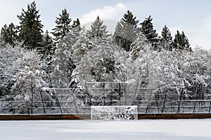 Snow covered soccer field and goal net, with forest background