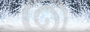 Snow covered spruce branches with Christmas blurred garland lights. Beautiful, winter, New Year`s, holiday background with a copy