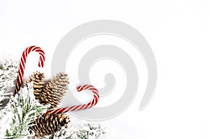 Snow-covered spruce decorative branch with cones and Christmas sweets on a white background. Space for text