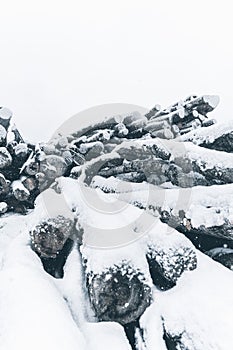 Snow covered stack of pine logs. Vertical layout
