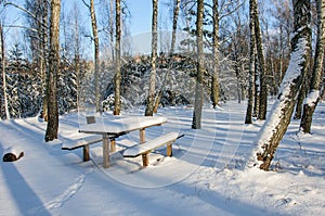 Snow-covered stands and benches in  winter snowy forest
