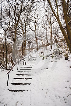 Snow covered steps leading up a hill in woodlands in Northern England
