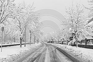 Snow covered suburb street